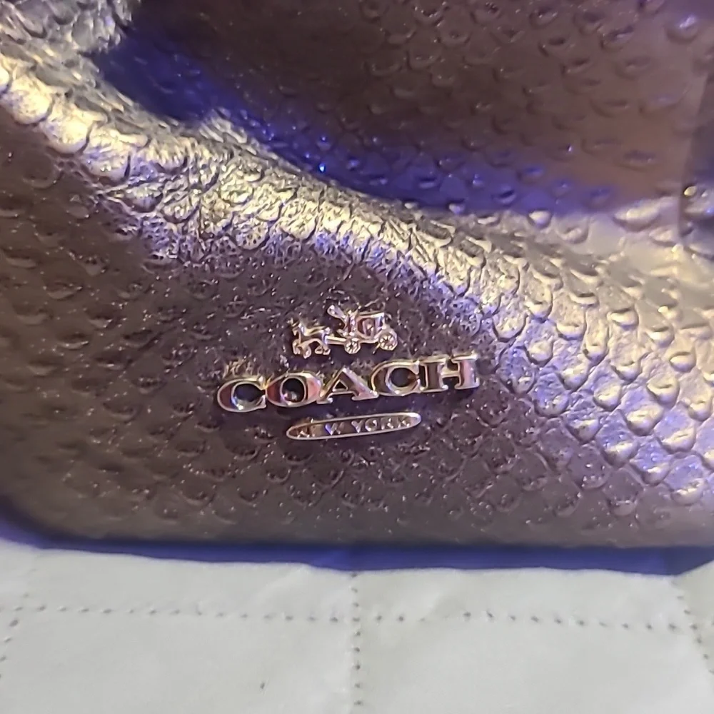 Coach Phoebe Metallic Snakeskin Handbag